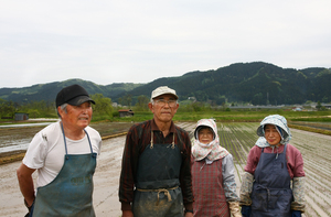 山田　田植え6.jpg